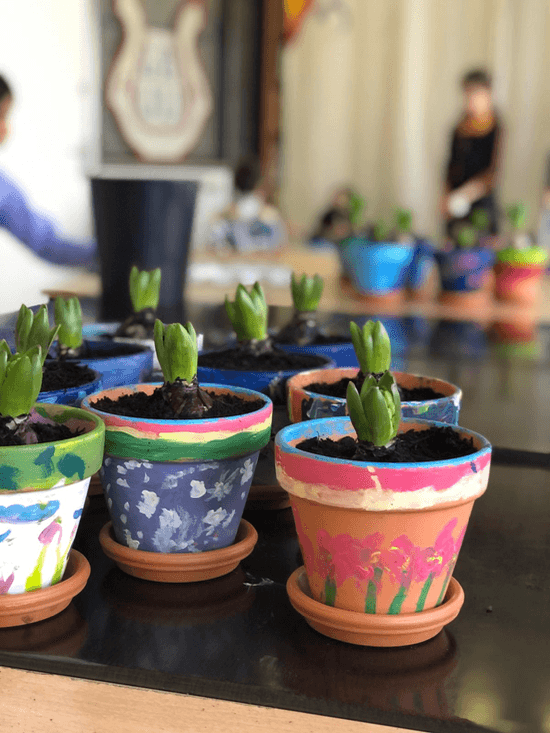 Image de l'activité