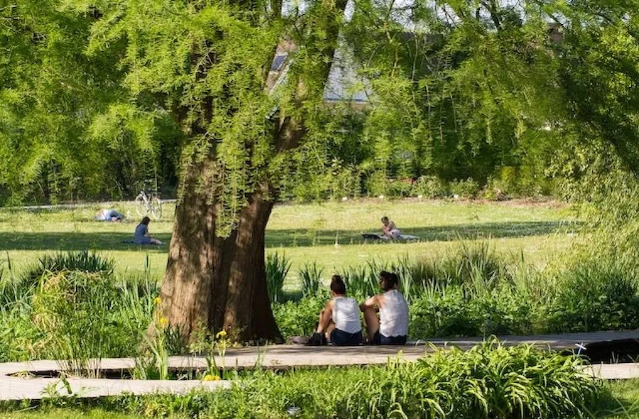 Image de l'activité