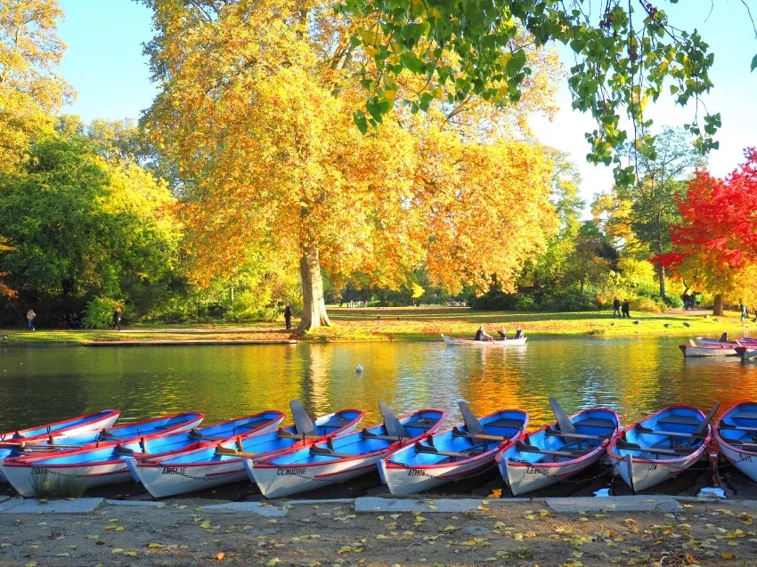 Image de l'activité