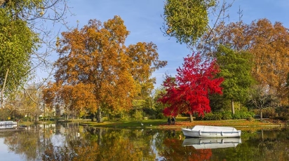 Image de l'activité