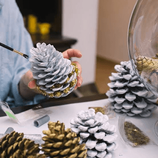 Image de l'activité