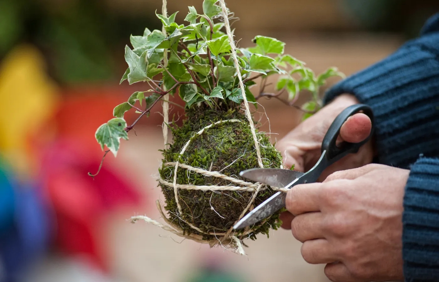 Image de l'activité