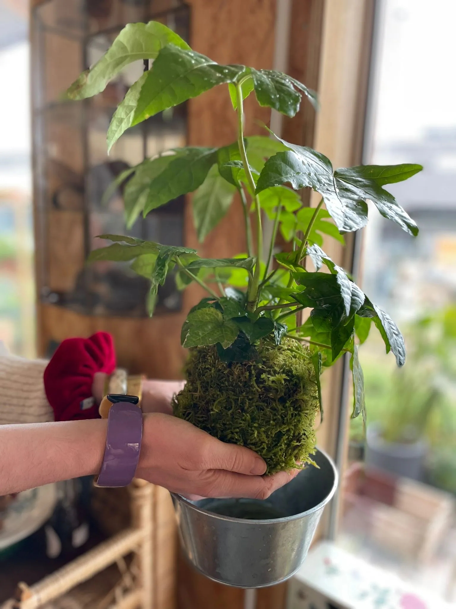 Image de l'activité