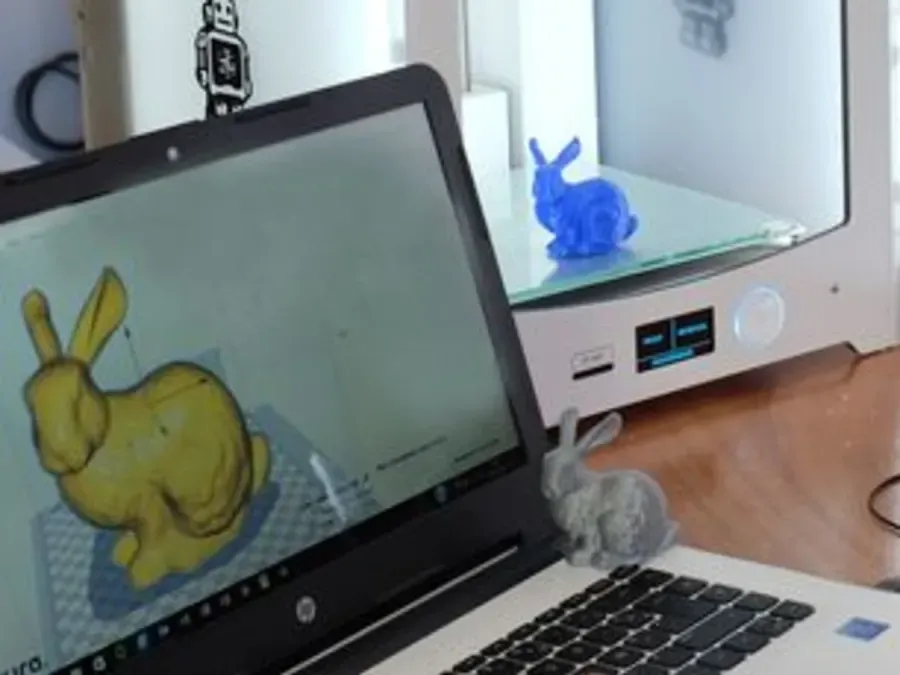 Image de l'activité