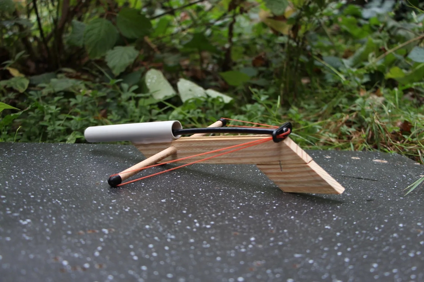 Image de l'activité