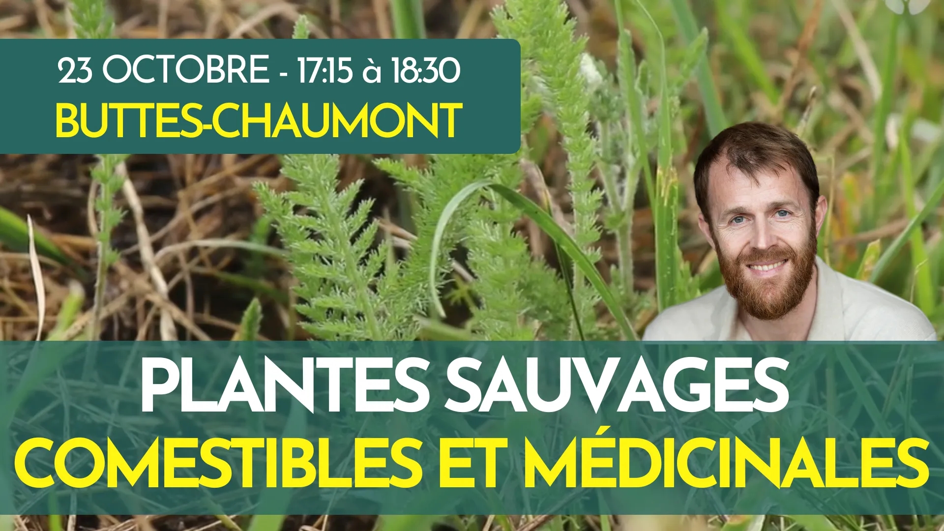 Image de l'activité