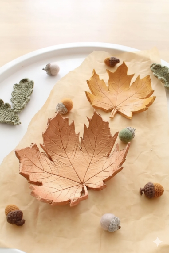 Image de l'activité