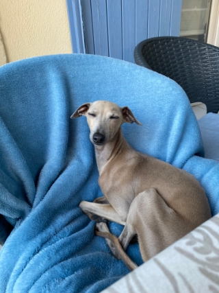 Image de l'activité