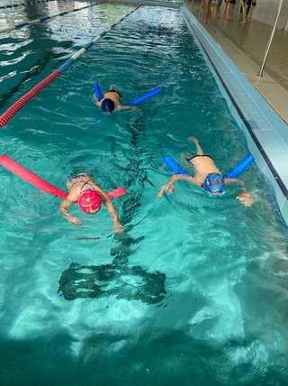 Image de l'activité